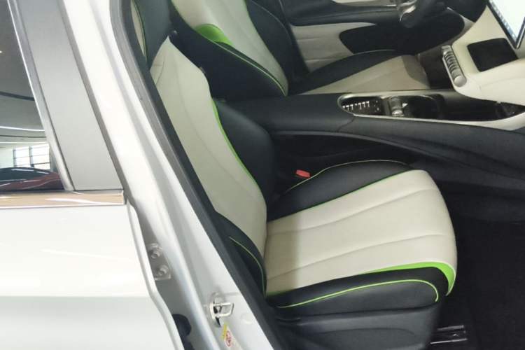 Used BYD Dolphin 2021 405 km Fashion Edition Right Front Seat