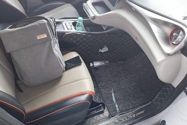 Used BYD Dolphin 2021 405 km Fashion Edition Right Front Seat
