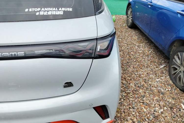 Used BYD Dolphin 2021 405 km Free Version Right Rear Taillight