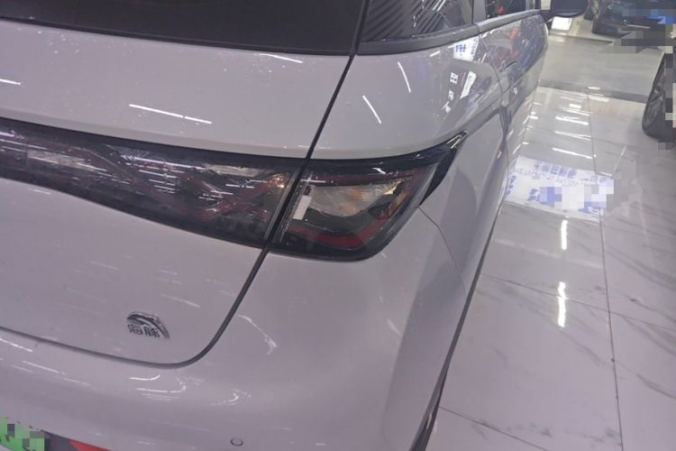 Used BYD Dolphin 2021 405 km Fashion Edition Right Rear Taillight