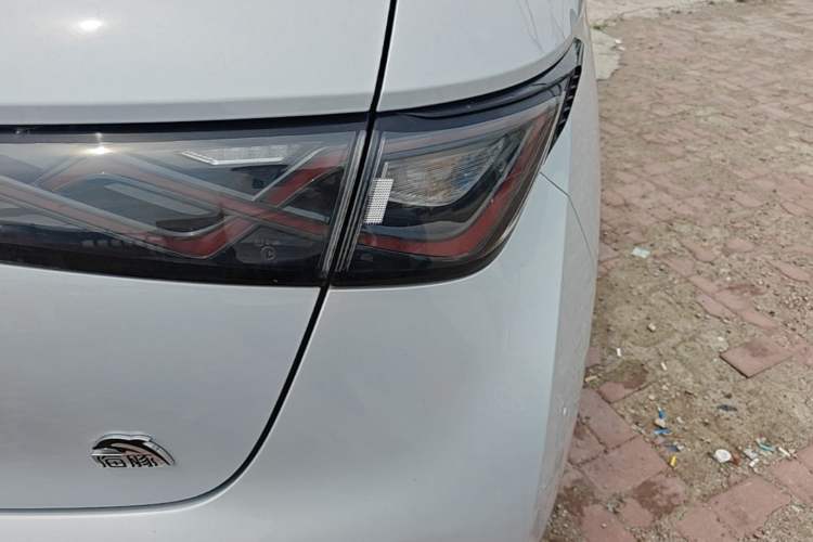 Used BYD Dolphin 2021 405 km Fashion Edition Right Rear Taillight