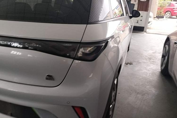 Used BYD Dolphin 2021 405 km Free Version Right Rear Taillight