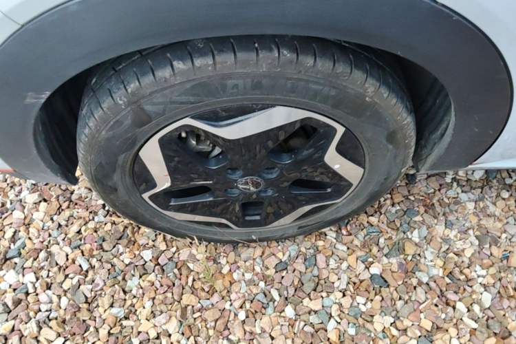 Used BYD Dolphin 2021 405 km Free Version Right Rear Wheel Hub