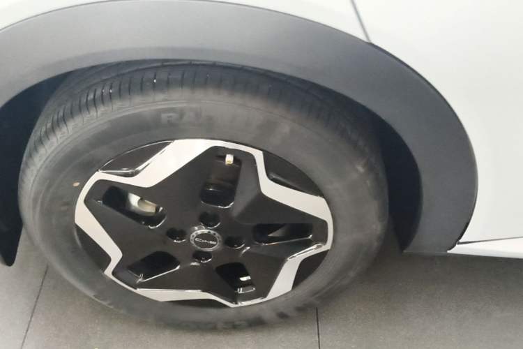 Used BYD Dolphin 2021 405 km Fashion Edition Right Rear Wheel Hub