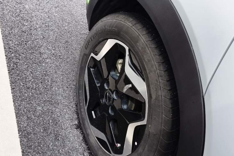 Used BYD Dolphin 2021 405 km Free Version Right Rear Wheel Hub