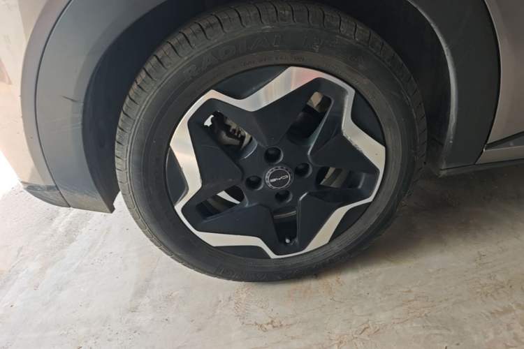 Used BYD Dolphin 2021 405 km Fashion Edition Right Rear Wheel Hub