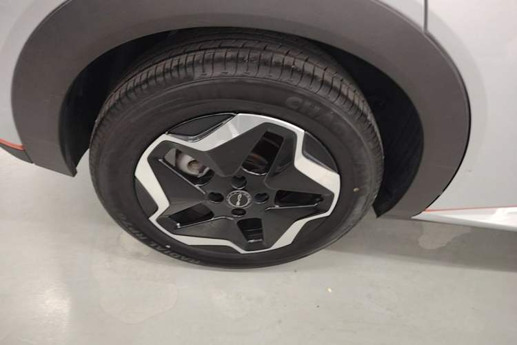 Used BYD Dolphin 2021 405 km Free Version Right Rear Wheel Hub