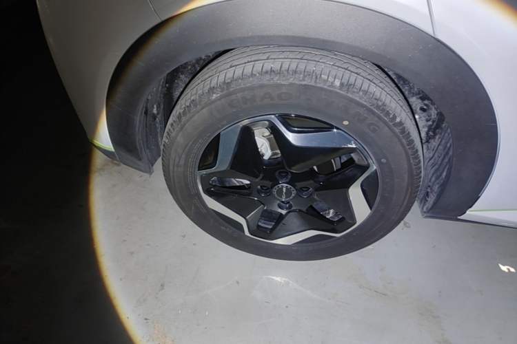 Used BYD Dolphin 2021 405 km Fashion Edition Right Rear Wheel Hub