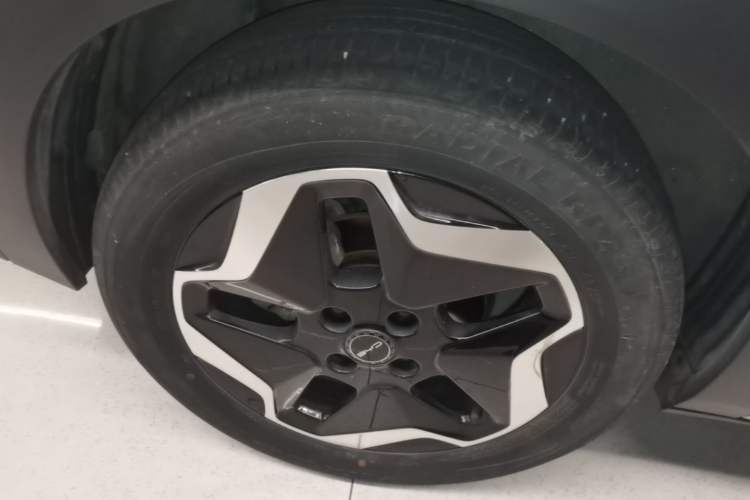 Used BYD Dolphin 2021 405 km Fashion Edition Right Rear Wheel Hub