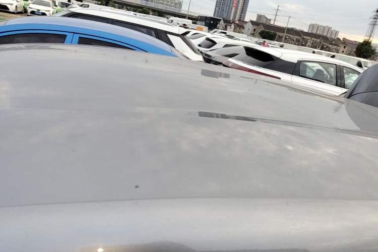 Used BYD Dolphin 2021 405 km Free Version Roof