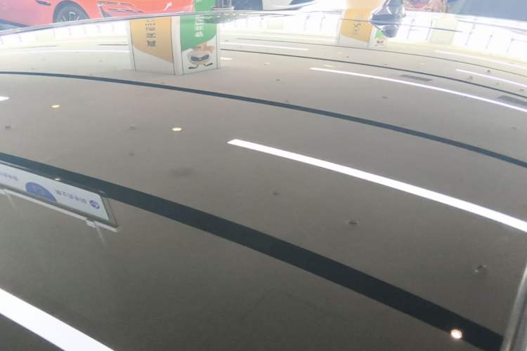 Used BYD Dolphin 2021 405 km Fashion Edition Roof
