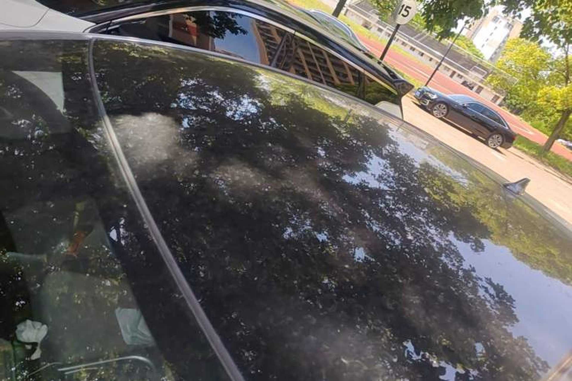 Used BYD Dolphin 2021 401km Knight Edition Roof