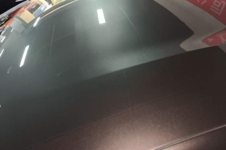 Used BYD Dolphin 2021 405 km Free Version Roof