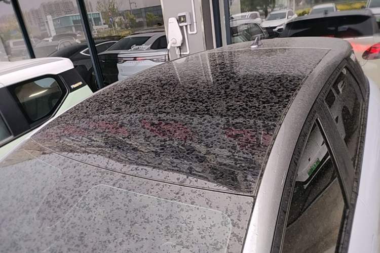 Used BYD Dolphin 2021 405 km Fashion Edition Roof