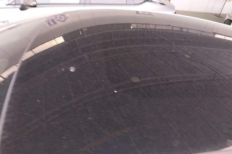 Used BYD Dolphin 2021 405 km Fashion Edition Roof