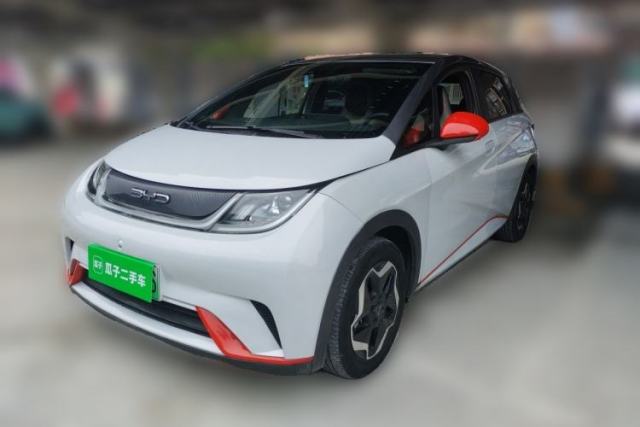 Used BYD Dolphin 2021 405 km Free Version