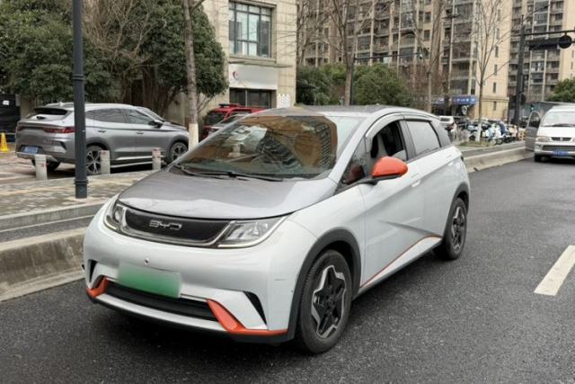 Used BYD Dolphin 2021 405 km Free Version