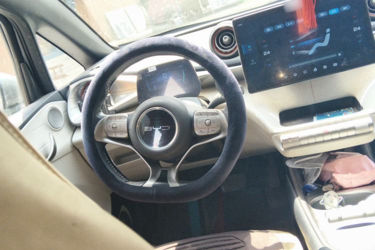 Used BYD Dolphin 2021 405 km Free Version Steering Wheel