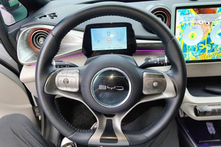 Used BYD Dolphin 2021 405 km Free Version Steering Wheel