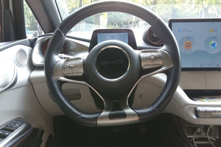 Used BYD Dolphin 2021 405 km Free Version Steering Wheel