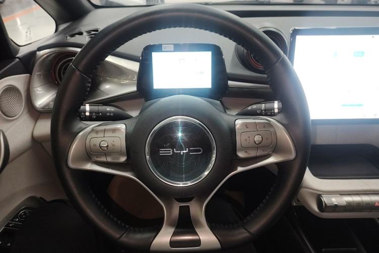Used BYD Dolphin 2021 405 km Free Version Steering Wheel
