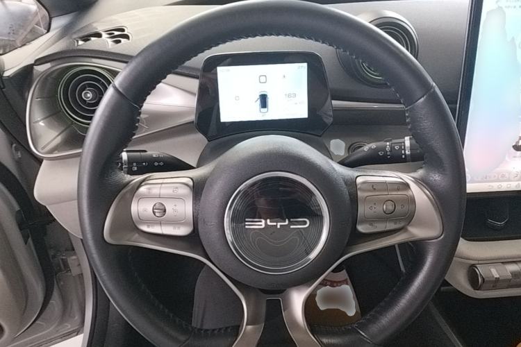 Used BYD Dolphin 2021 405 km Free Version Steering Wheel