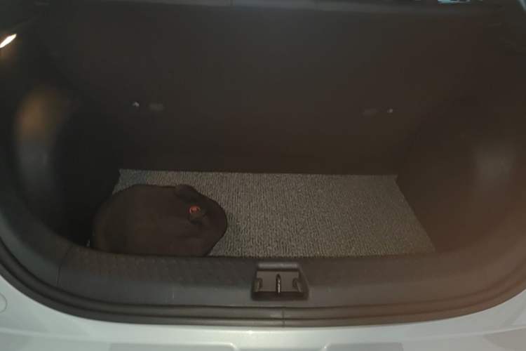 Used BYD Dolphin 2021 405 km Fashion Edition Trunk