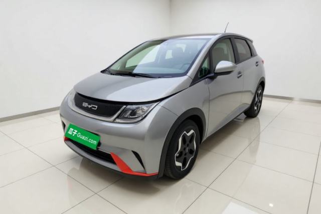 BYD Dolphin 2021 405 km Free Version usado