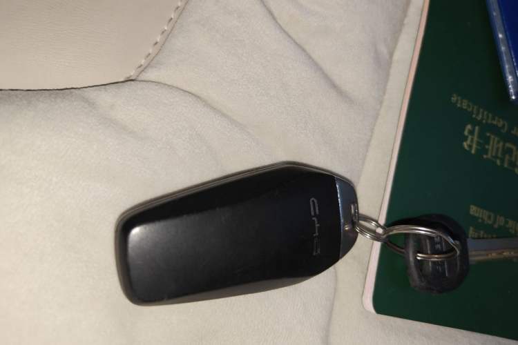 Used BYD Dolphin 2021 405 km Fashion Edition Vehicle Key