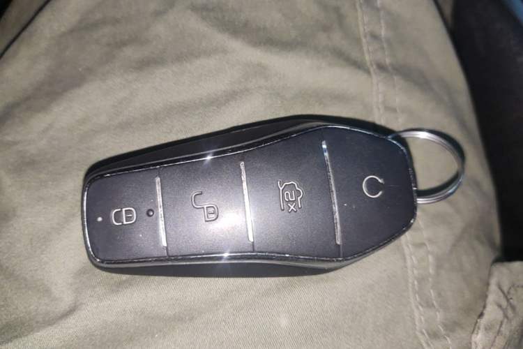 Used BYD Dolphin 2021 405 km Fashion Edition Vehicle Key