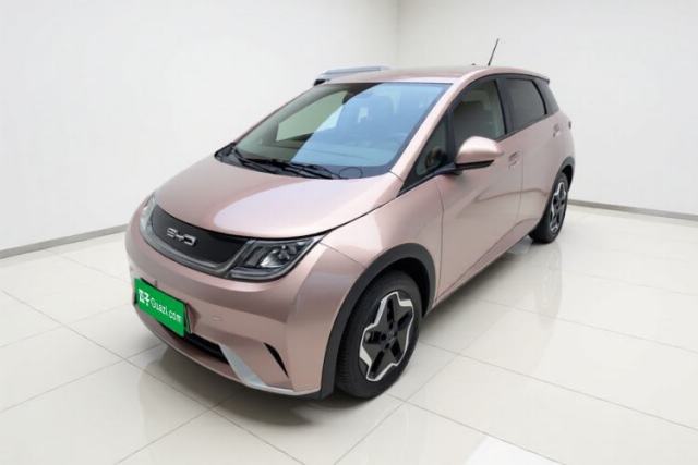 Ojetý BYD Dolphin 2021 405 km Free Version
