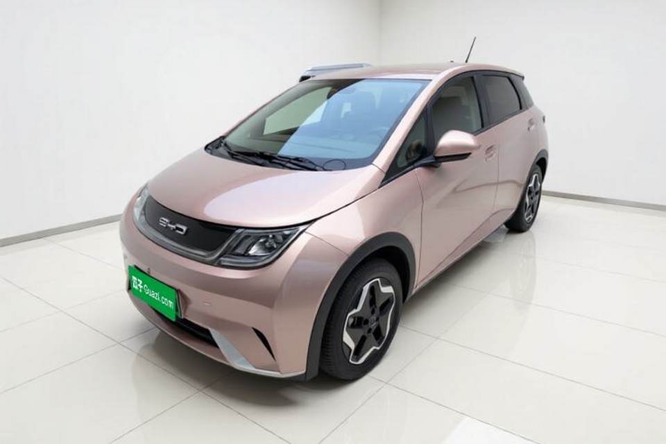 BYD Dolphin 2021