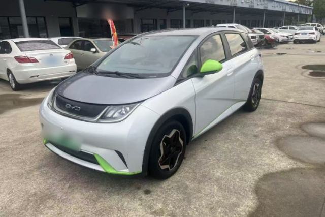 Used BYD Dolphin 2021 405 km Free Version