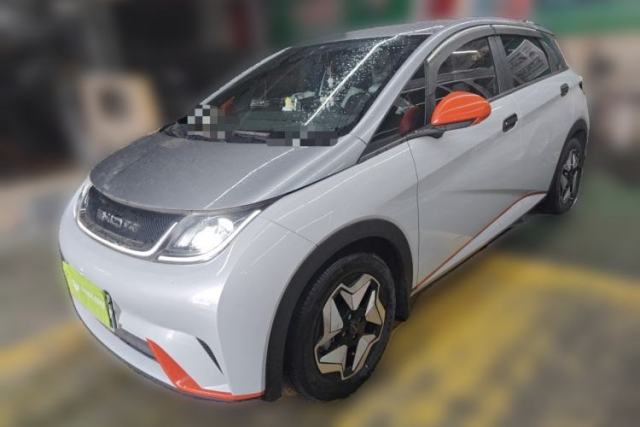 Used BYD Dolphin 2021 405 km Free Version
