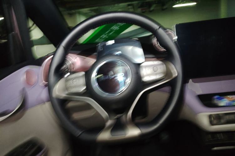 Used BYD Dolphin 2021 401km Knight Edition Steering Wheel