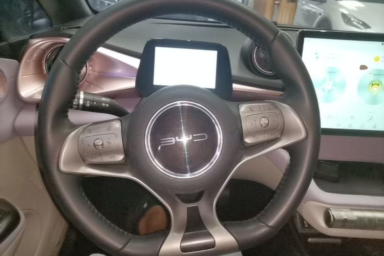 Used BYD Dolphin 2021 405 km Free Version Steering Wheel
