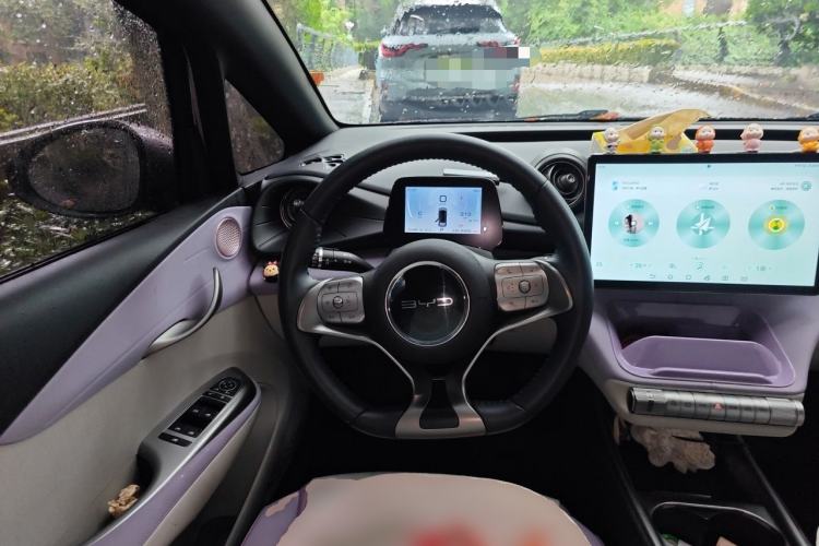 Used BYD Dolphin 2021 405 km Free Version Steering Wheel