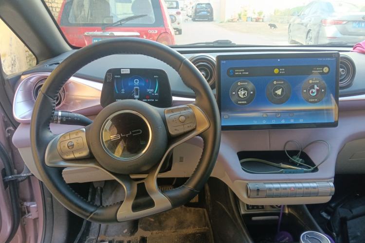 Used BYD Dolphin 2021 405 km Free Version Steering Wheel