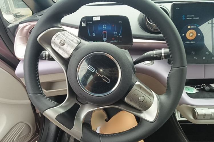 Used BYD Dolphin 2021 405 km Fashion Edition Steering Wheel