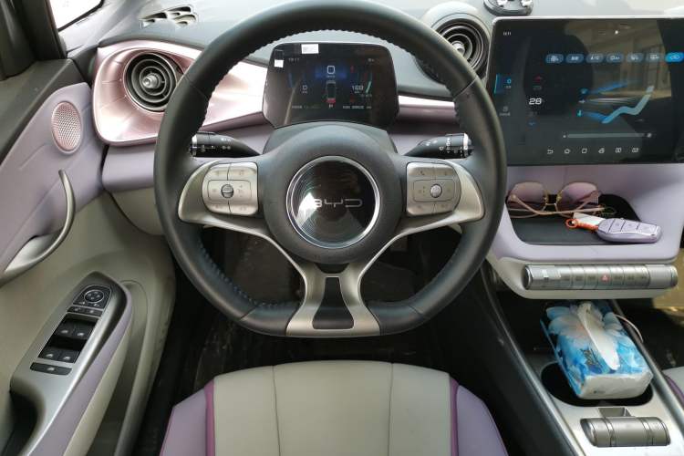 Used BYD Dolphin 2021 405 km Free Version Steering Wheel