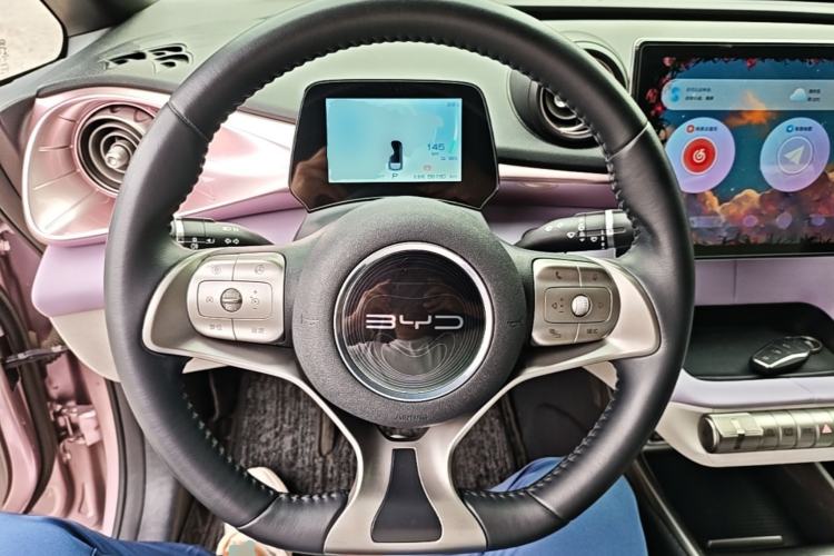 Used BYD Dolphin 2021 405 km Fashion Edition Steering Wheel