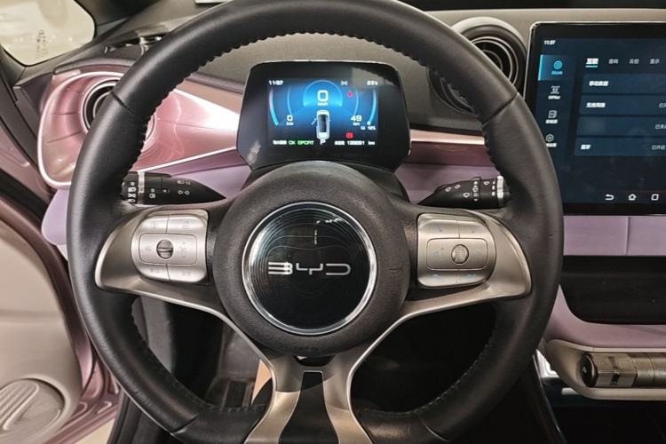 Used BYD Dolphin 2021 405 km Free Version Steering Wheel