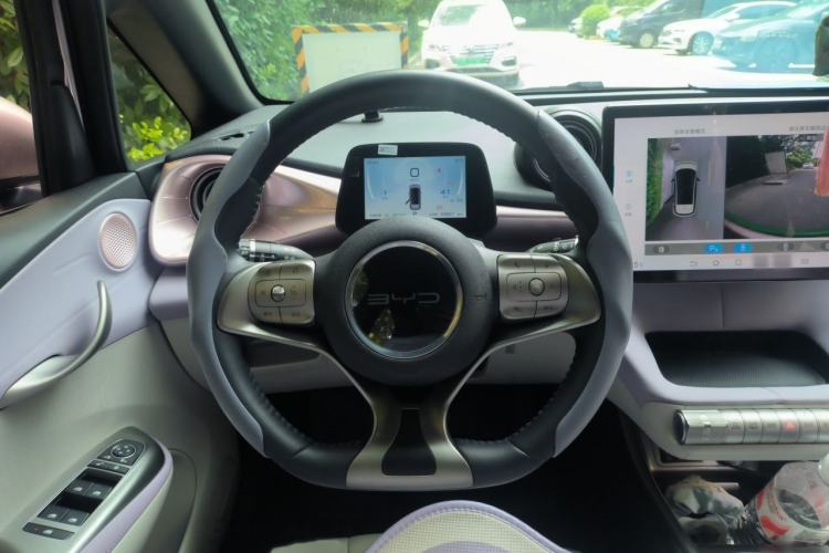 Used BYD Dolphin 2021 405 km Free Version Steering Wheel