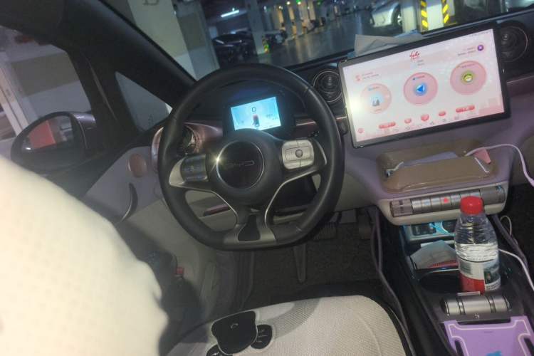 Used BYD Dolphin 2021 405 km Free Version Steering Wheel