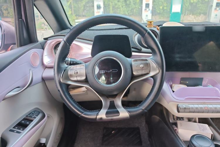 Used BYD Dolphin 2021 405 km Free Version Steering Wheel