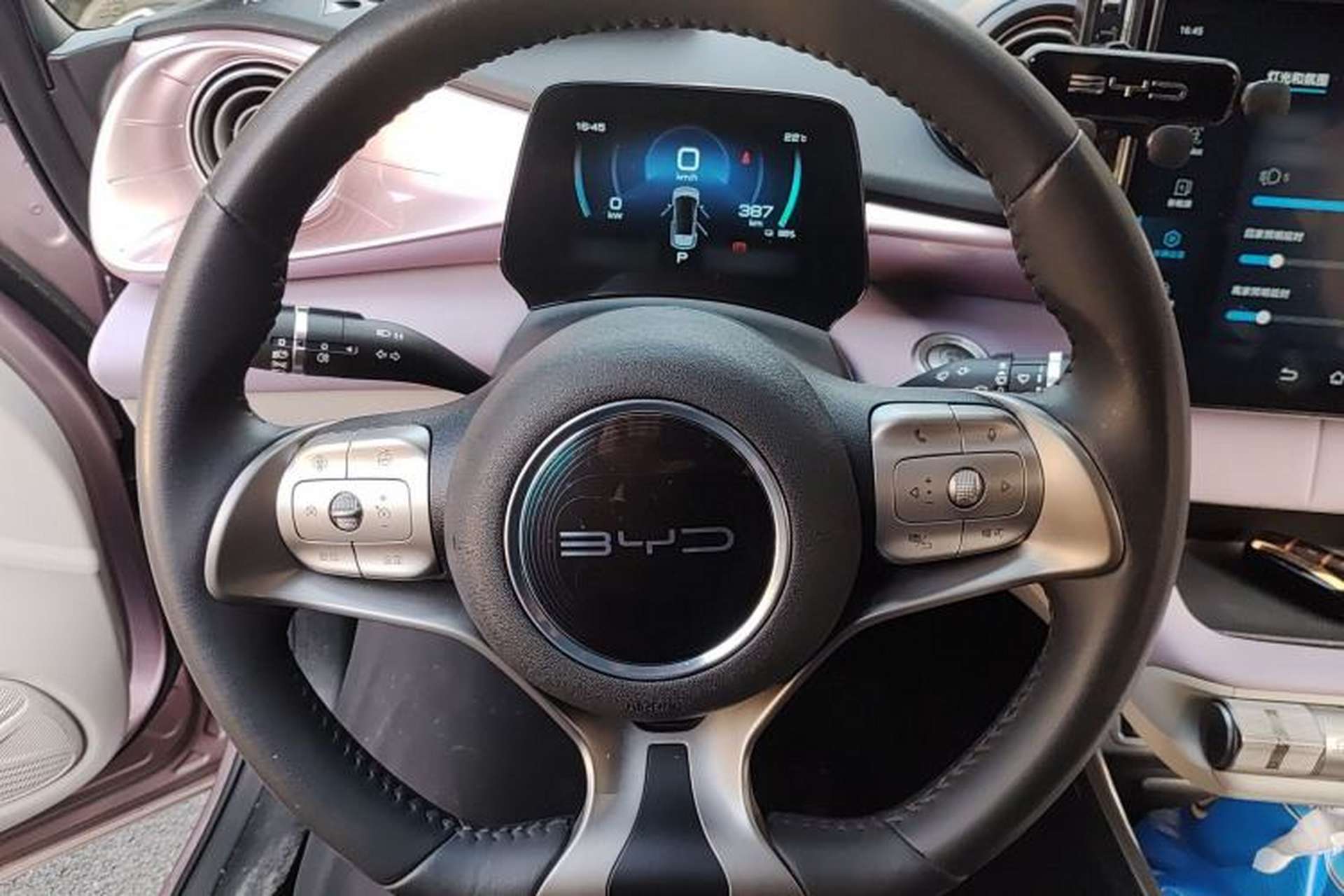Used BYD Dolphin 2021 405 km Free Version Steering Wheel