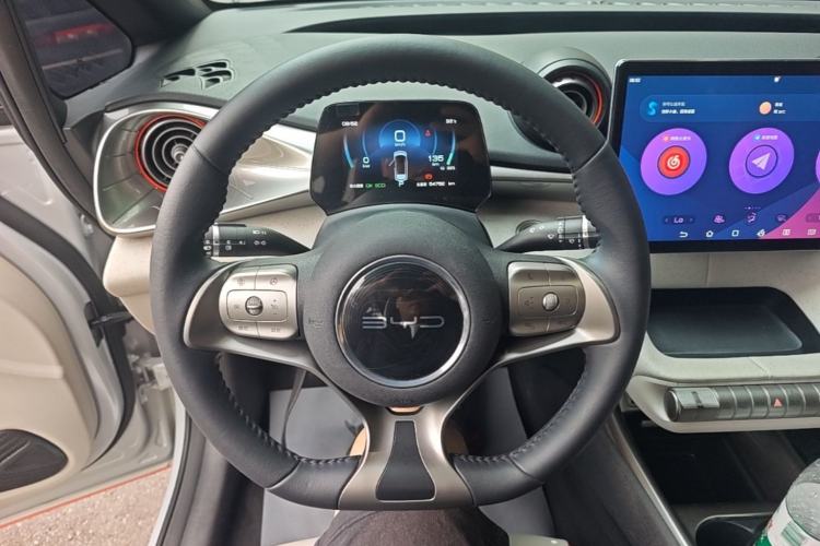Used BYD Dolphin 2021 405 km Free Version Steering Wheel