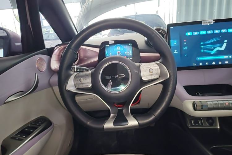 Used BYD Dolphin 2021 405 km Free Version Steering Wheel