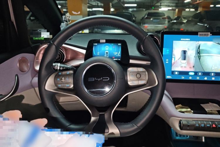Used BYD Dolphin 2021 405 km Fashion Edition Steering Wheel