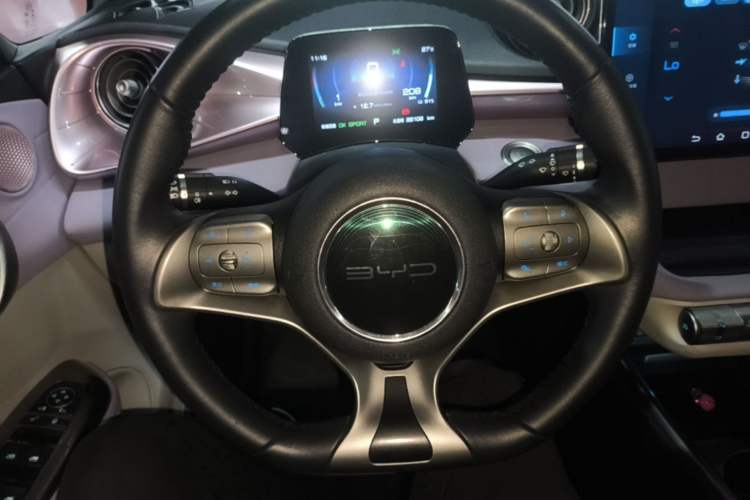 Used BYD Dolphin 2021 405 km Free Version Steering Wheel